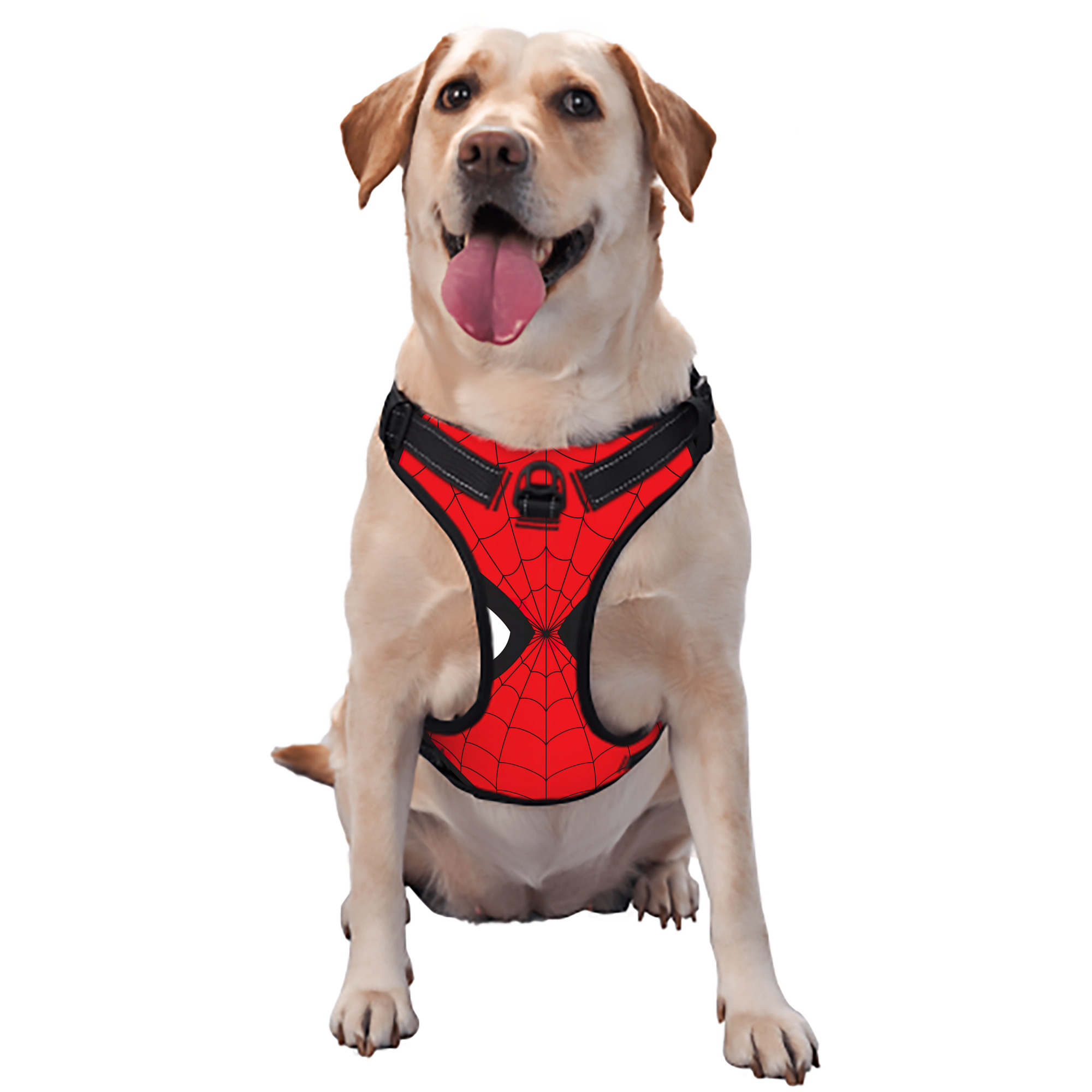 （画像用） Spider Man スパイダーマン ペット用ハーネス